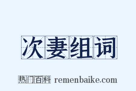 次妻组词是什么意思的图片